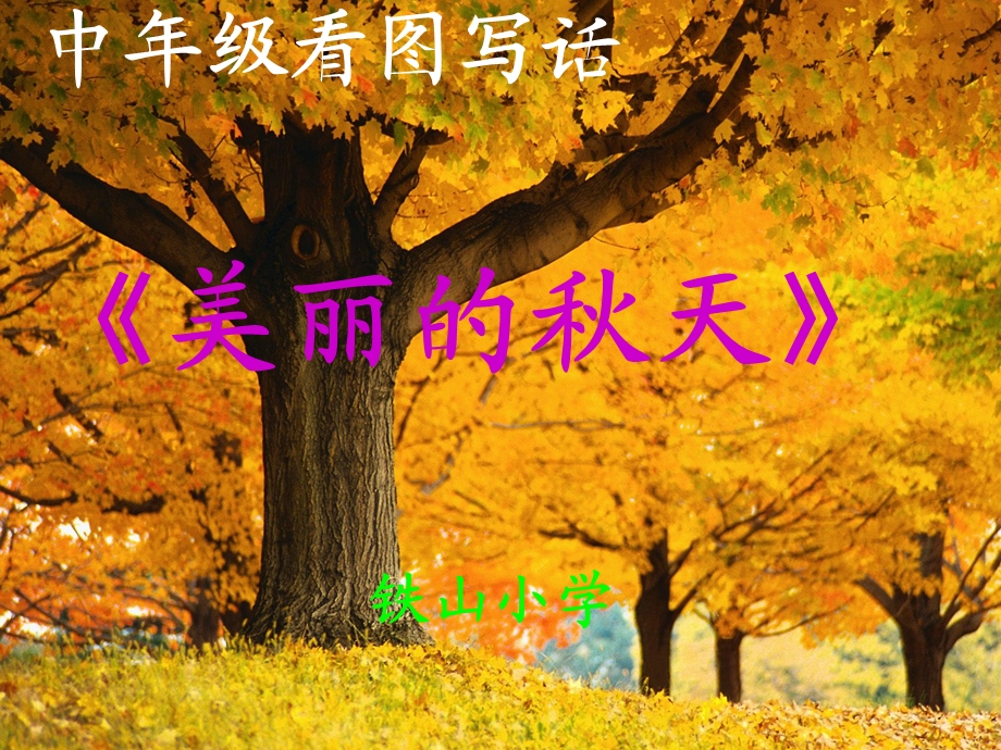 美丽的秋天(看图写作）.ppt_第1页