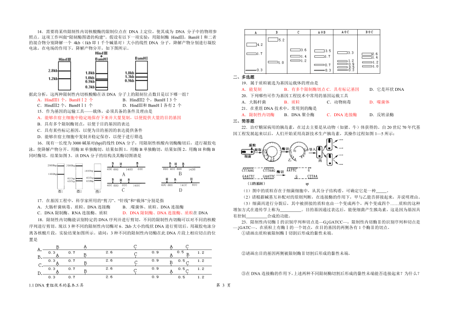 选修3__专题1__11__DNA重组技术的基本工具学案(陆德平).doc_第3页