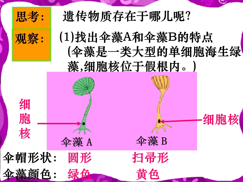 7.1与三角形有关的线段课件1 [精选文档].ppt_第3页