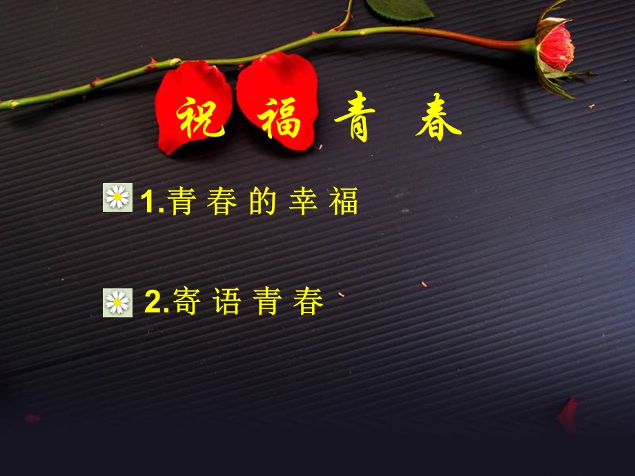 祝福青春(好) (2).ppt_第2页