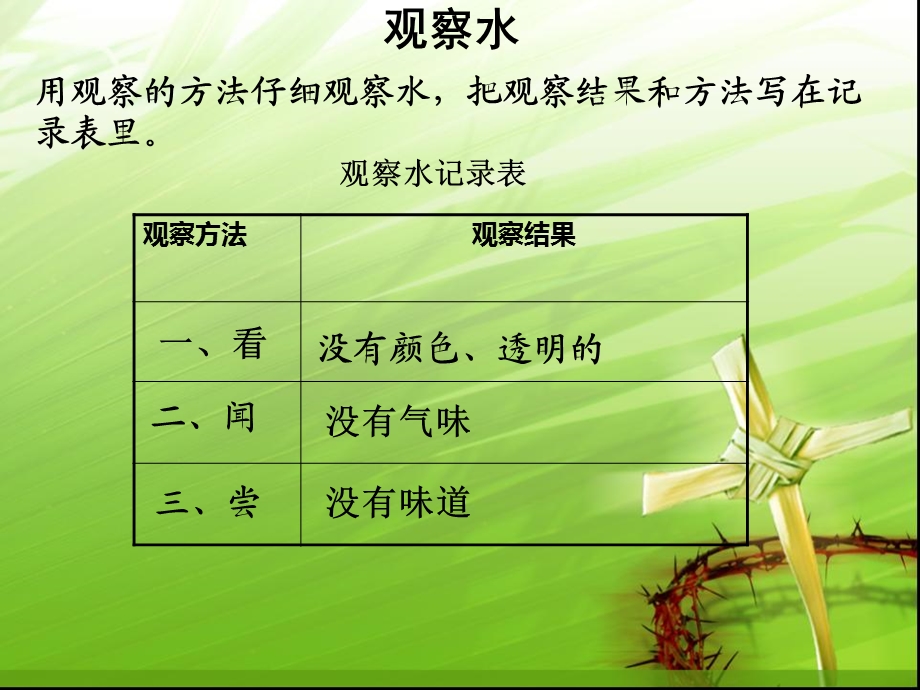 苏教版三年级科学观察水 (2).ppt_第3页