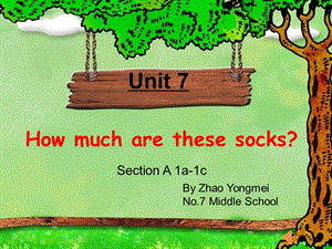 （七上）Unit7how-much-are-these-socks课件.ppt