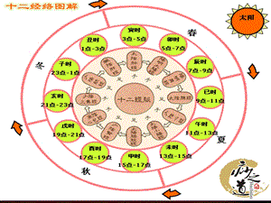 最新中医经络养生之十二时辰养生课件PPT文档.ppt