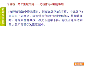 专题四两个生理作用光合作用和细胞呼吸文档资料.ppt