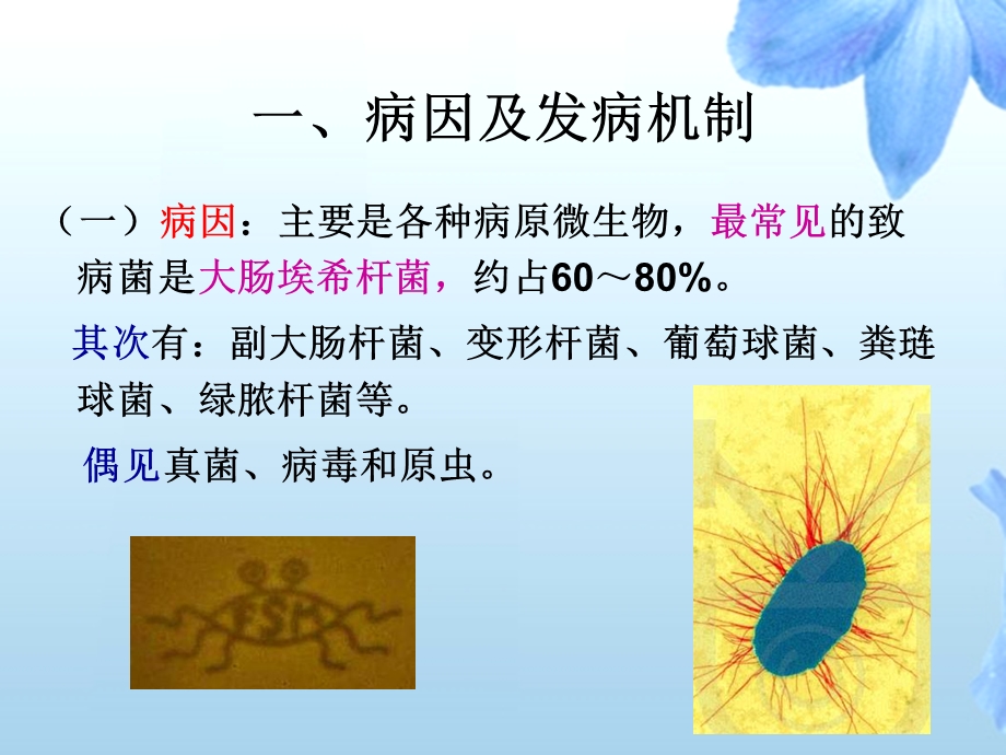 尿路感染分析课件文档资料.ppt_第3页