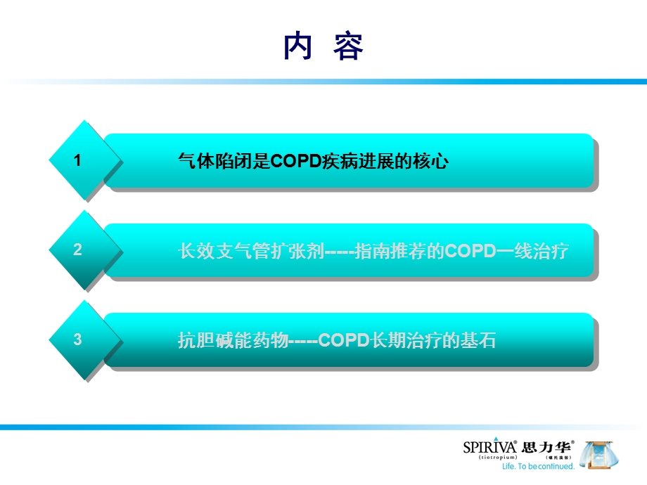 最新COPD治疗从指南到临床实践PPT文档.ppt_第2页