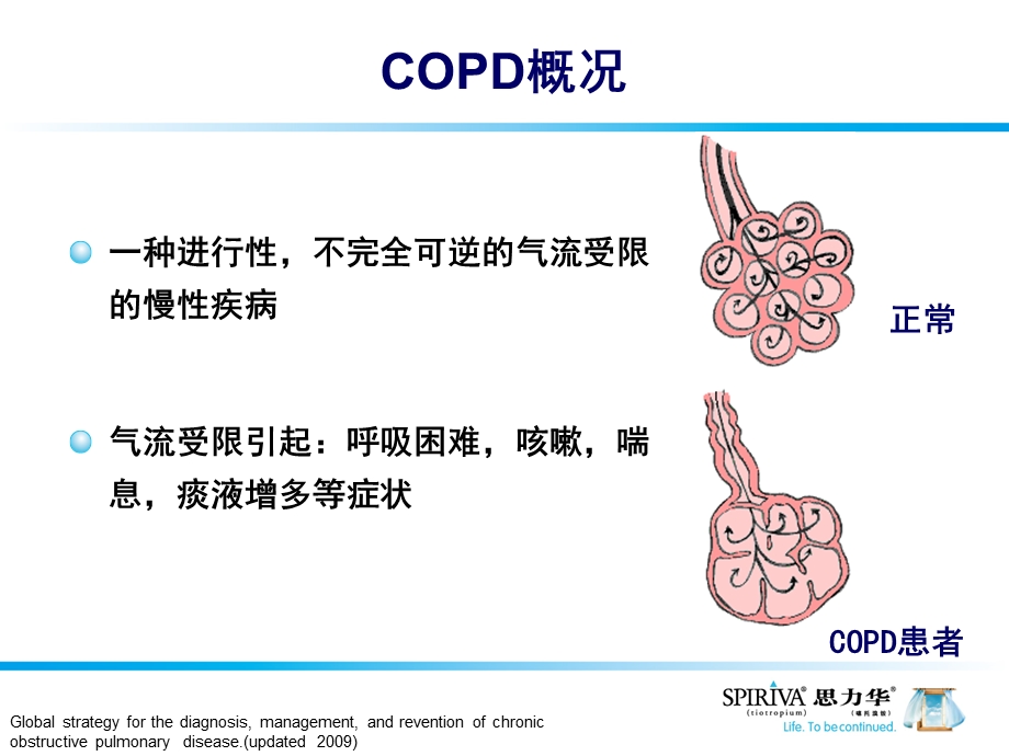 最新COPD治疗从指南到临床实践PPT文档.ppt_第3页