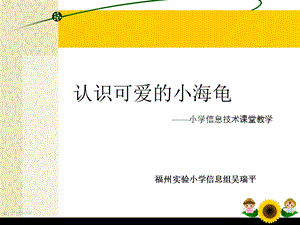 认识可爱的小海龟.ppt