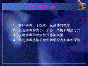 病毒概述 文档资料.ppt