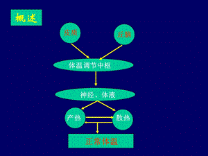 诊断学发热PPT课件文档资料.ppt