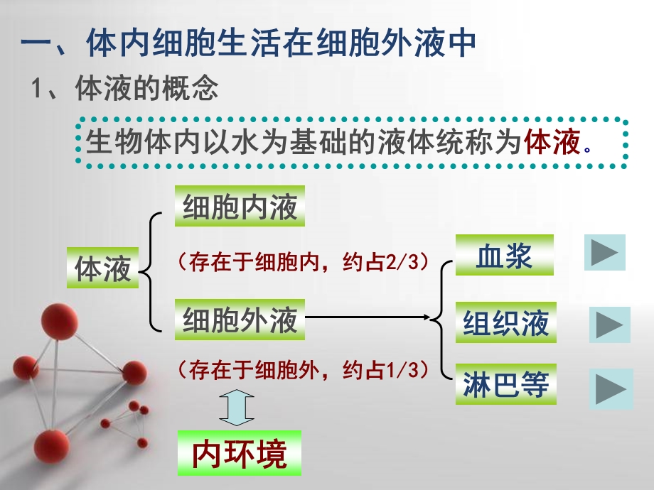 细胞生活的环境.ppt_第3页