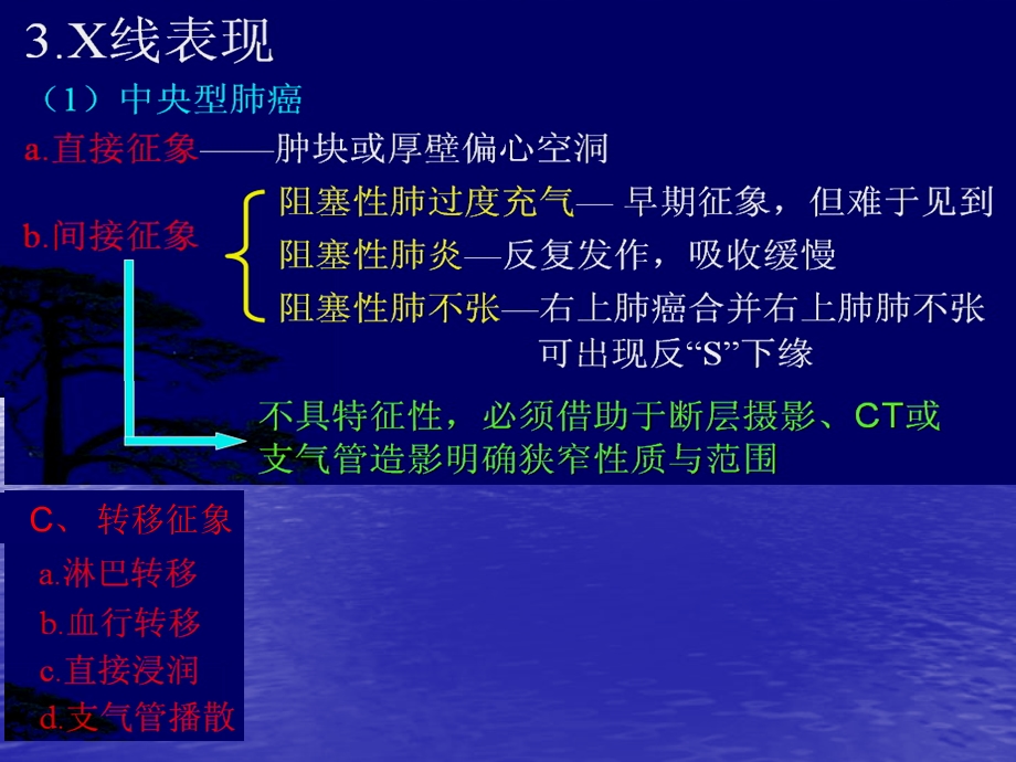 呼吸系统肿瘤x线诊断ppt课件文档资料.ppt_第3页