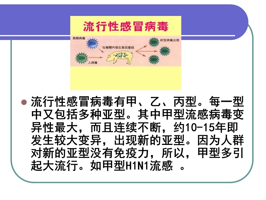 夏季常见疾病的预防文档资料.ppt_第2页