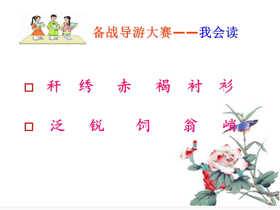 5翠鸟 [精选文档].ppt_第3页