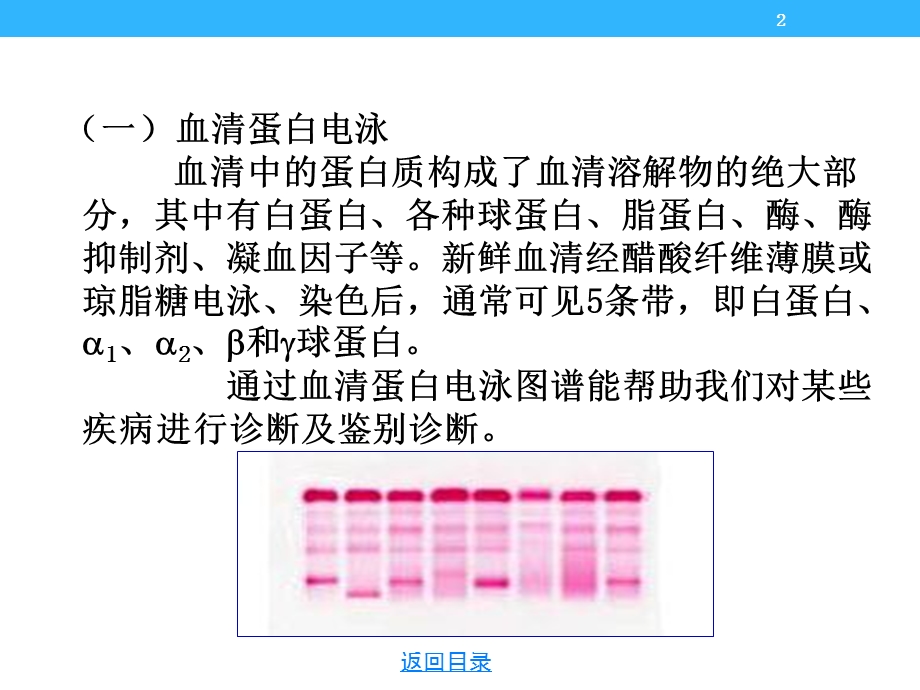 电泳仪的临床应用.pptx_第2页