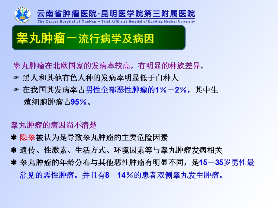 泌尿及男性生殖系统肿瘤文档资料.ppt_第3页