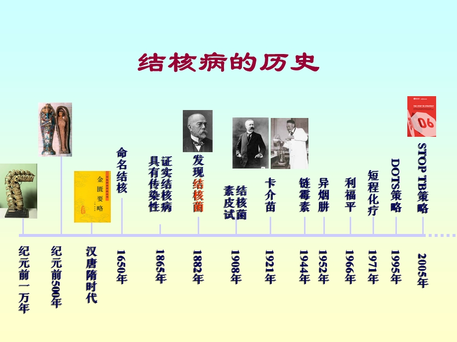 抗结核药品不良反应概述文档资料.ppt_第1页