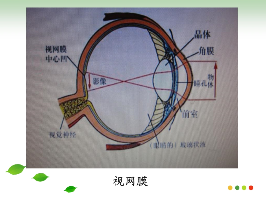 消渴目病中医护理方案十四病区文档资料.ppt_第2页