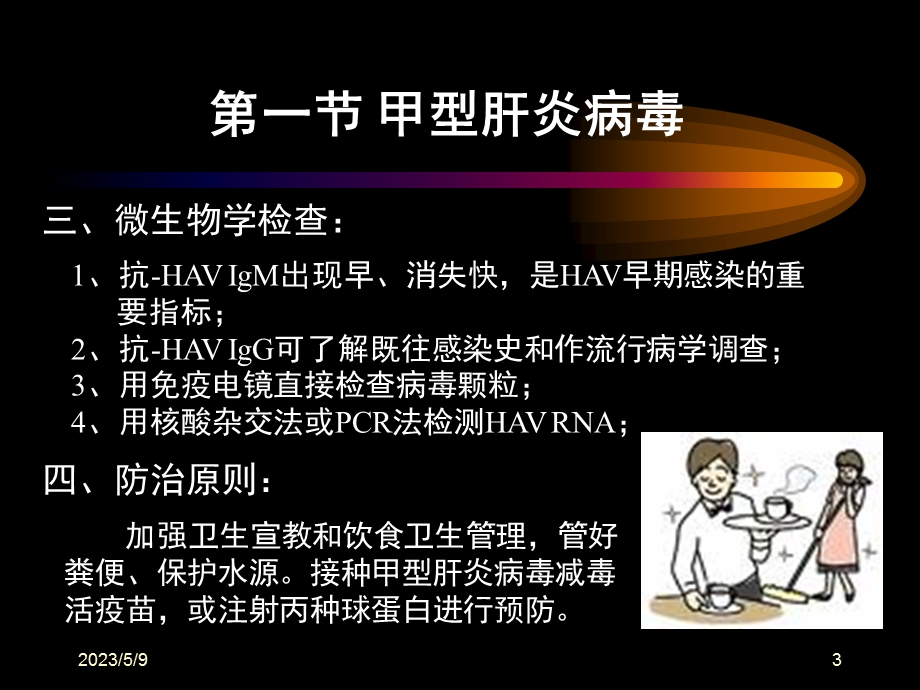 第二十八章肝炎病毒文档资料.ppt_第3页