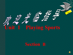 英语：Unit1SportsandGamesTopic1Areyougoingtoplaybaseketball课件（仁爱湘教版七年级下）.ppt