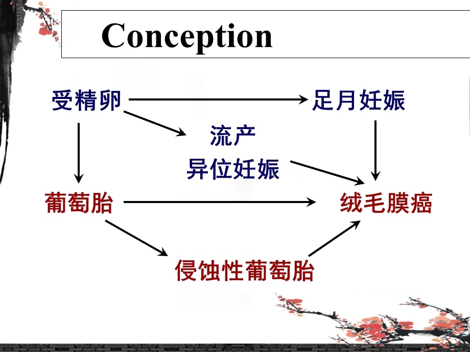 妊娠滋养细胞疾病课件文档资料.ppt_第3页