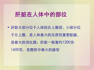 原发性肝癌本科班课件文档资料.ppt