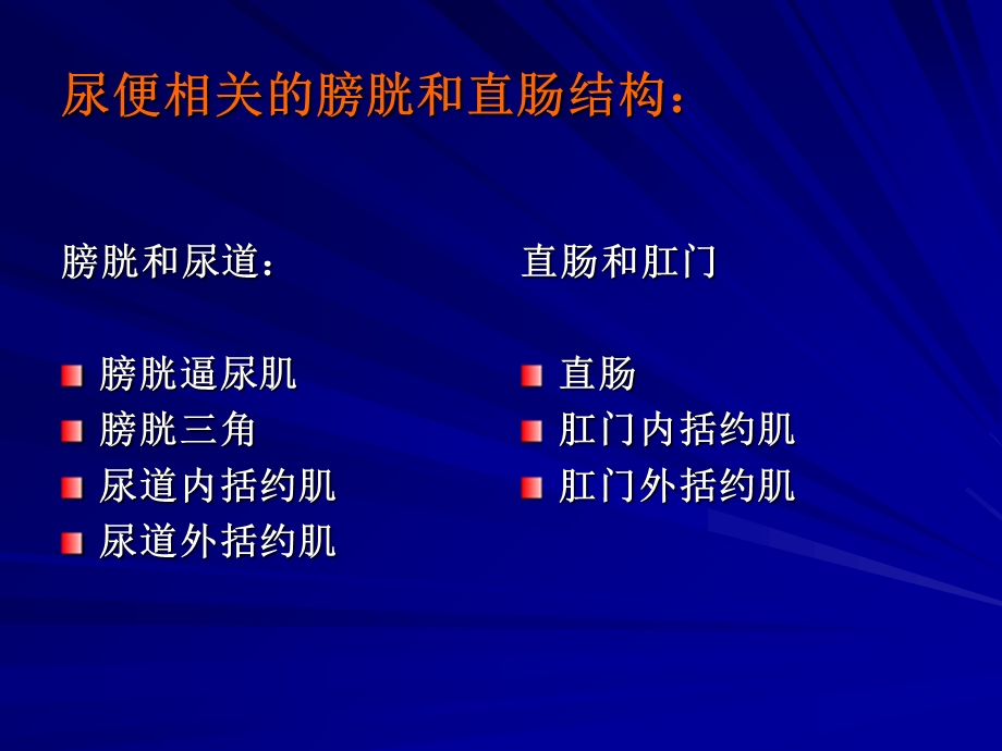 尿便障碍解剖神经病学张家堂文档资料.ppt_第2页