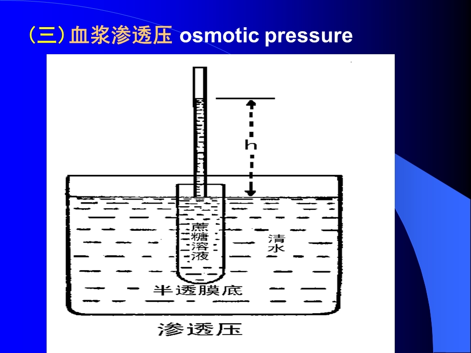 第三章血液blood文档资料.ppt_第3页