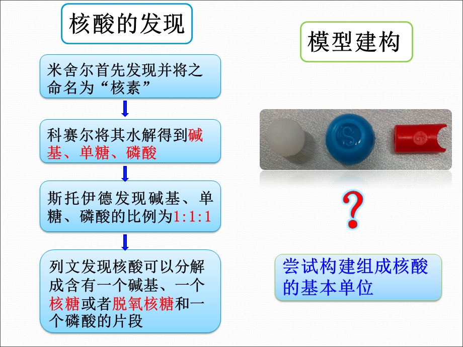 遗传信息携带者——核酸PPT-修改.ppt_第3页