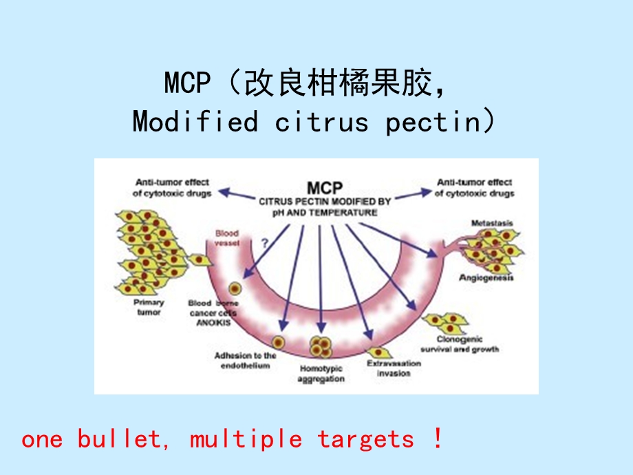 最新：MCP联合血管内皮抑素抑制结肠癌生长及转移的作用研究PPT课件文档资料.ppt_第3页