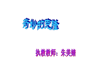 转载《鹤群翔空》教学设计[1]、反思.ppt