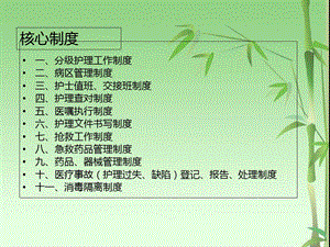 护理管理制度培训2文档资料.ppt