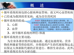 循环系统疾病的护理文档资料.ppt