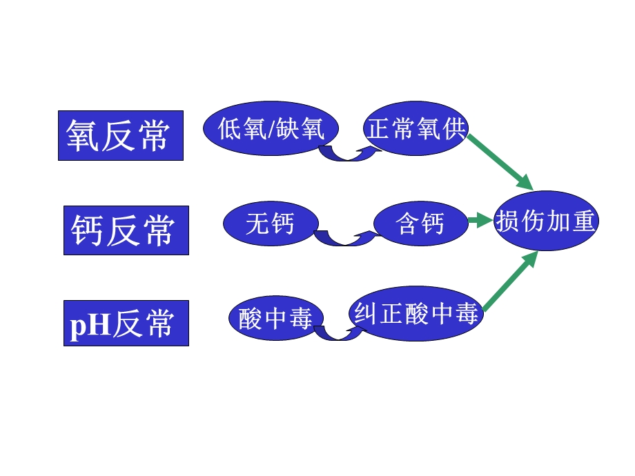 第十章缺血在灌注损伤病理生理学课件文档资料.ppt_第3页