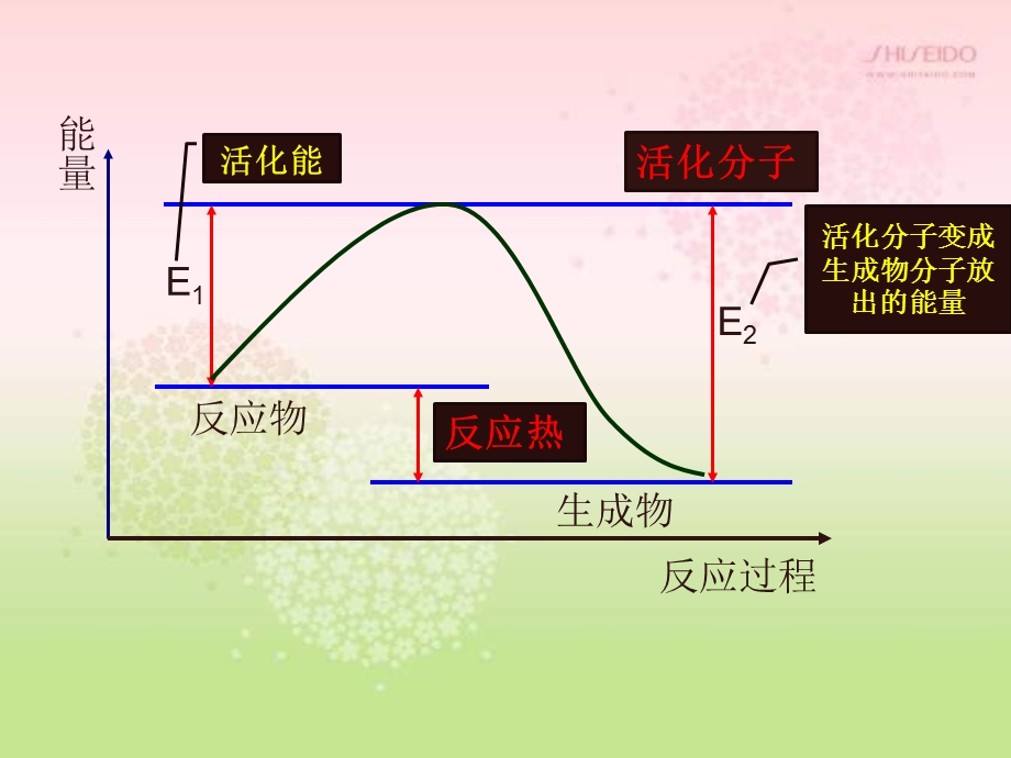 选修四22影响反应速率的因素.ppt_第3页