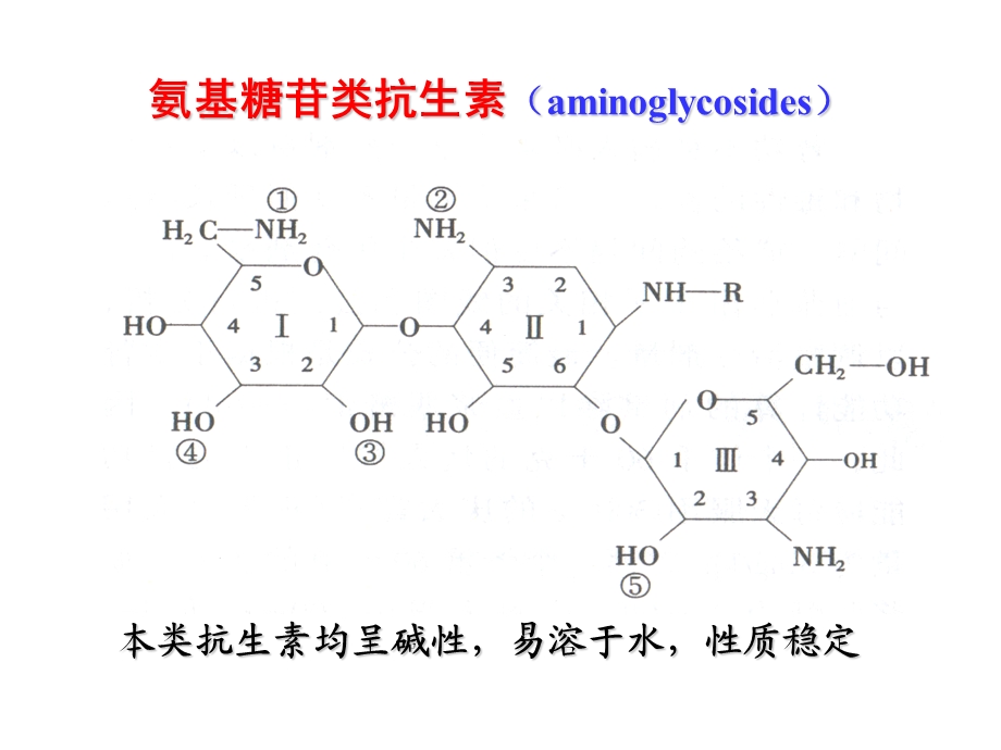 第三十六章 大氨基苷类抗生素课件文档资料.ppt_第2页