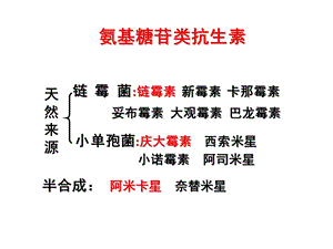 第三十六章 大氨基苷类抗生素课件文档资料.ppt