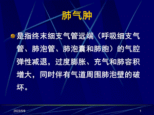 慢性阻塞性肺疾病慢阻肺文档资料.ppt