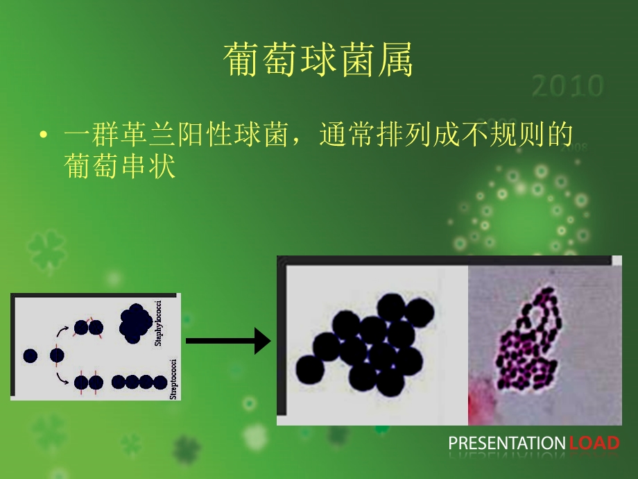 常见病原菌复习中职ppt课件文档资料.ppt_第1页