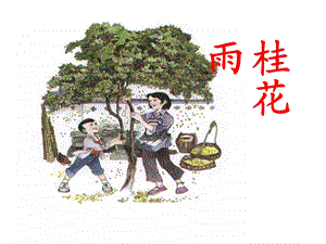 7.桂花雨PPT课件2[精选文档].ppt