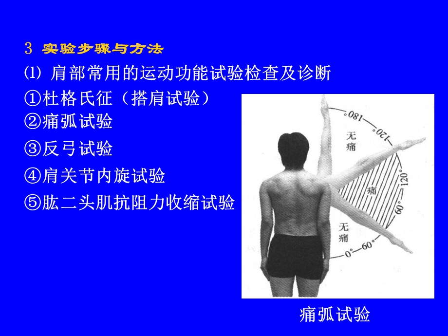 各部位运动损伤的试验检查文档资料.ppt_第1页