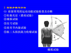 各部位运动损伤的试验检查文档资料.ppt