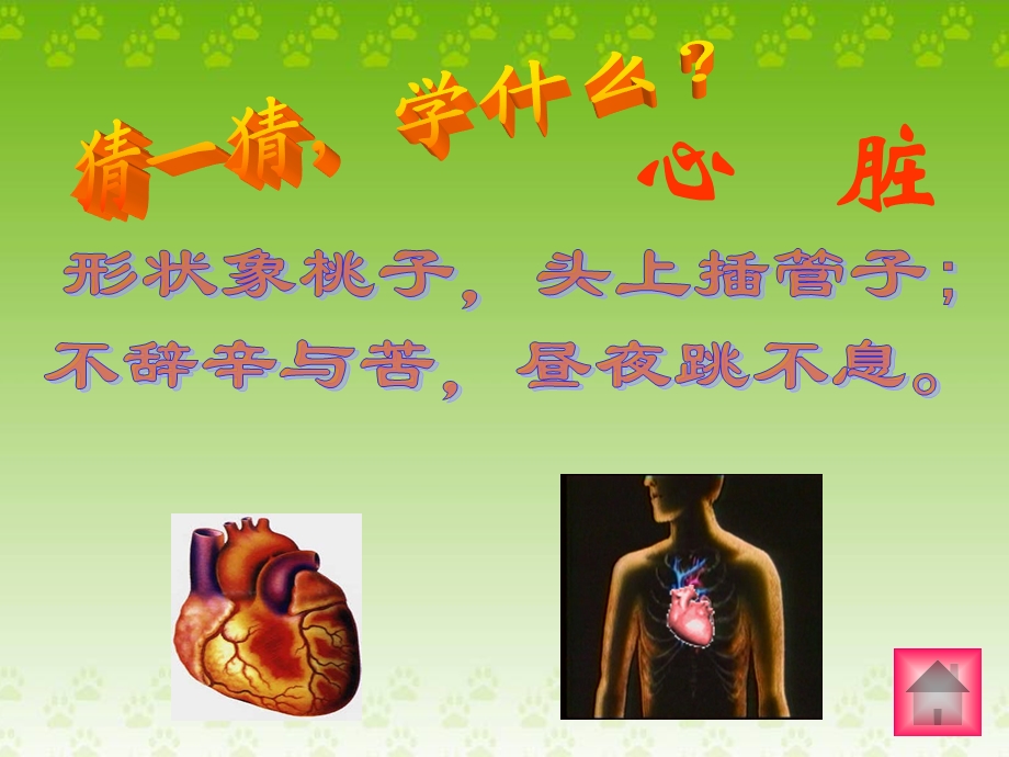 输送血液的泵一一心脏PPT课件.ppt_第1页