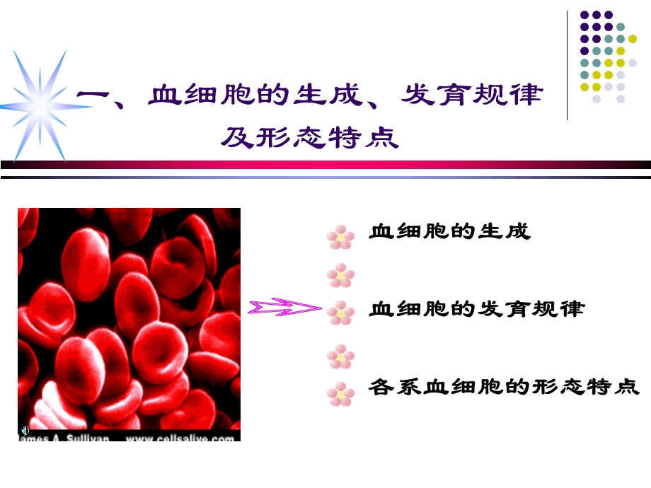 修改血细胞形态特征及常见血液病的血液学特征ppt课件文档资料.ppt_第1页