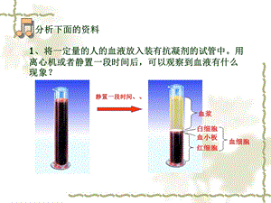 一节流动组织血液精选文档.ppt