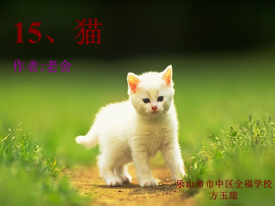 老舍《猫》课件(19页) (2).ppt_第1页