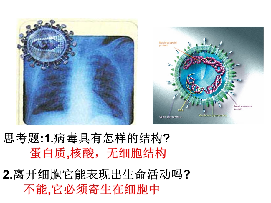 一章节走进细胞文档资料.ppt_第1页