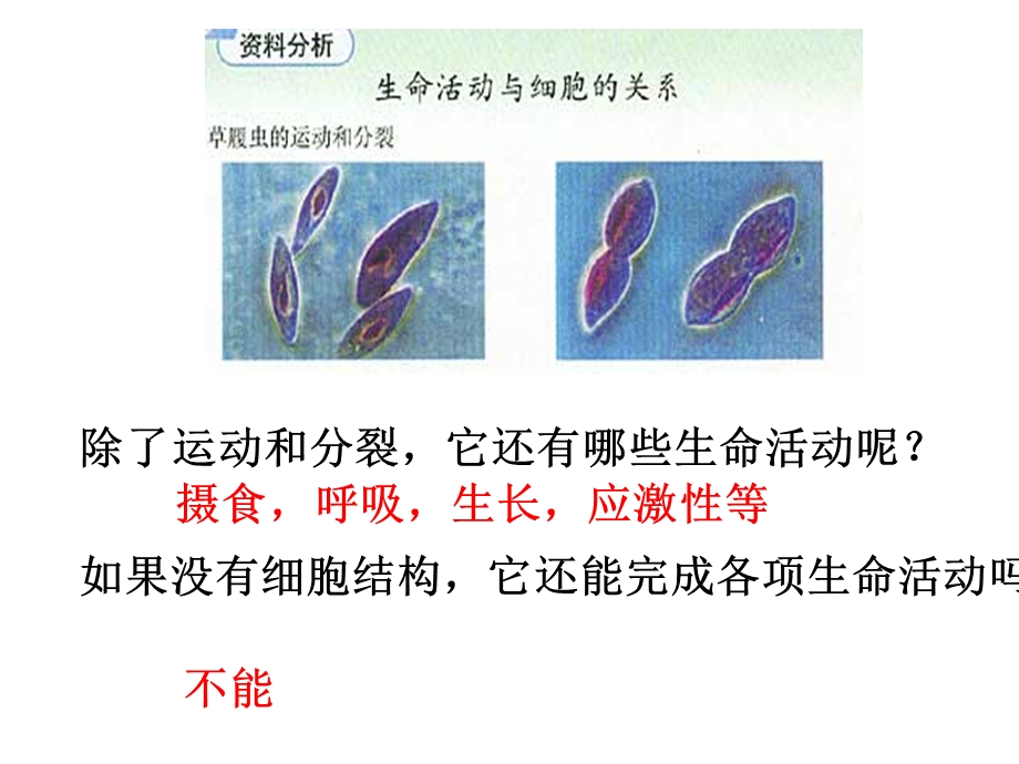 一章节走进细胞文档资料.ppt_第2页