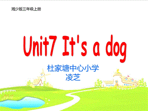 湘少版三年级上册Unit7it's_a_dog课件.ppt