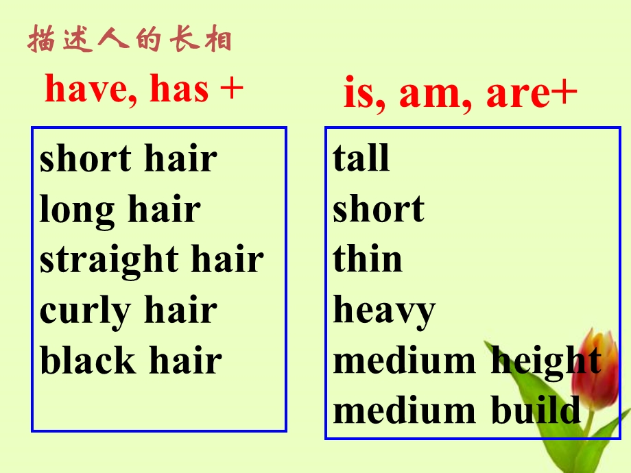 新目标英语八年级上Unit3课件.ppt_第3页